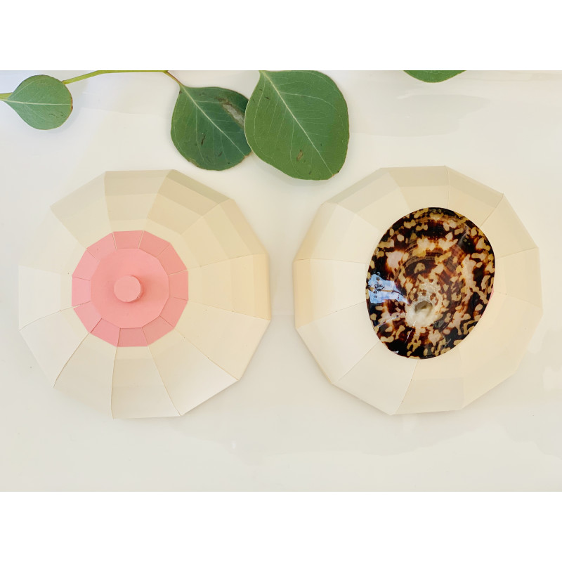 Coquillages D'allaitement Baby Shell Taille XL - En Nacre Naturelle Pour Crevasses Et Soins Des Mamelons