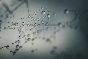 Composition du lait maternel