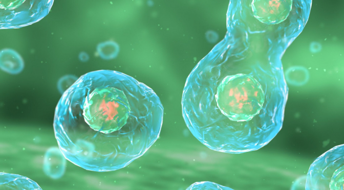 molecules comme hamlet du lait maternel